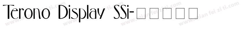 Terono Display SSi字体转换
